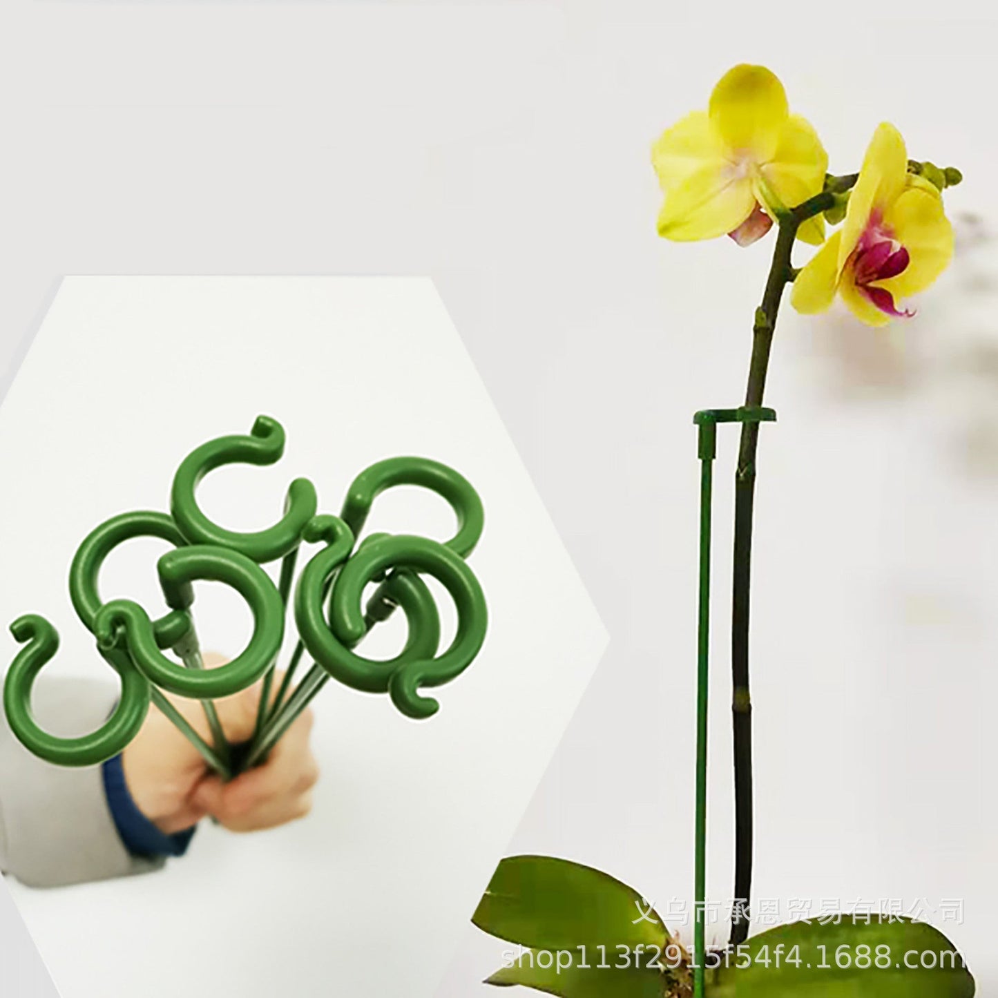 10 Pcs Mini Portable Plant Holder Set