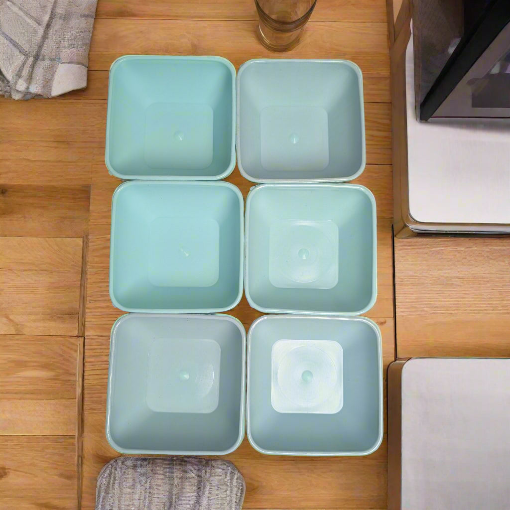 6 Pcs Multipurpose Food Container