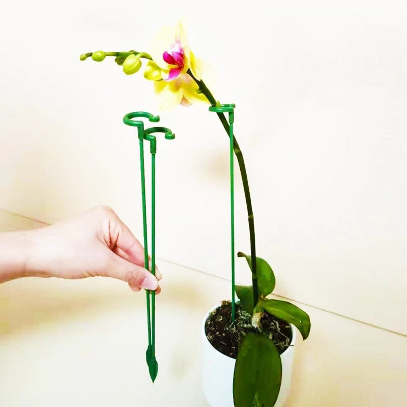 10 Pcs Mini Portable Plant Holder Set