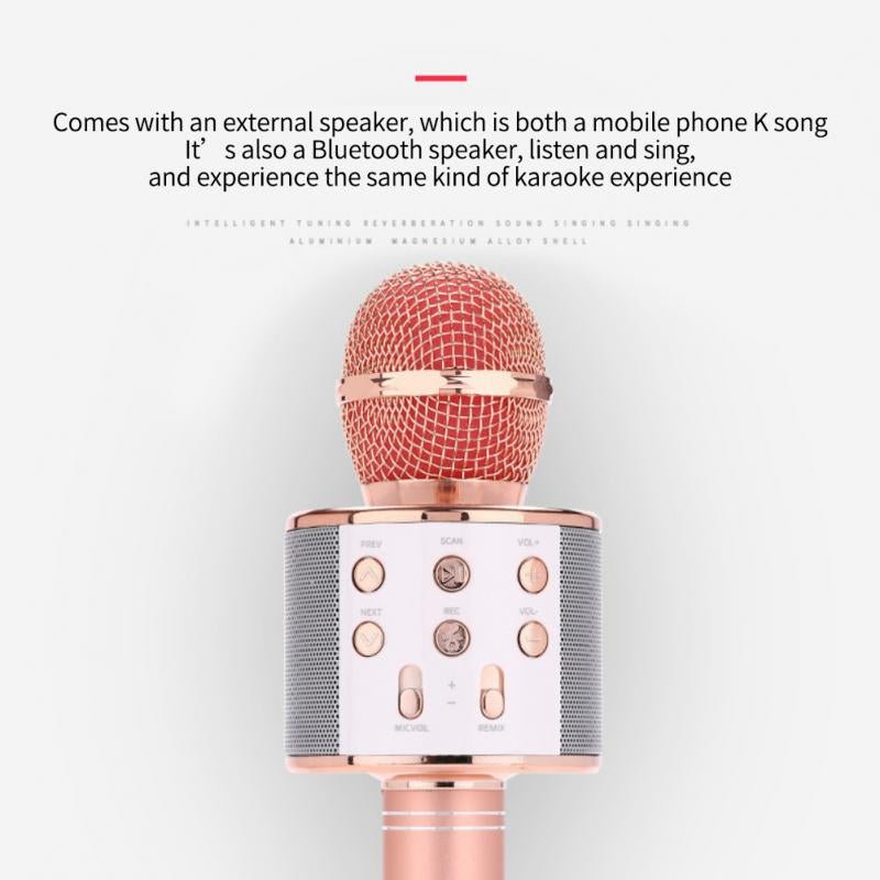 Wireless Microphone Hifi Speaker. - Easy Wholesale
