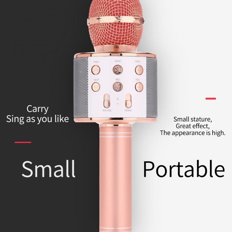 Wireless Microphone Hifi Speaker. - Easy Wholesale